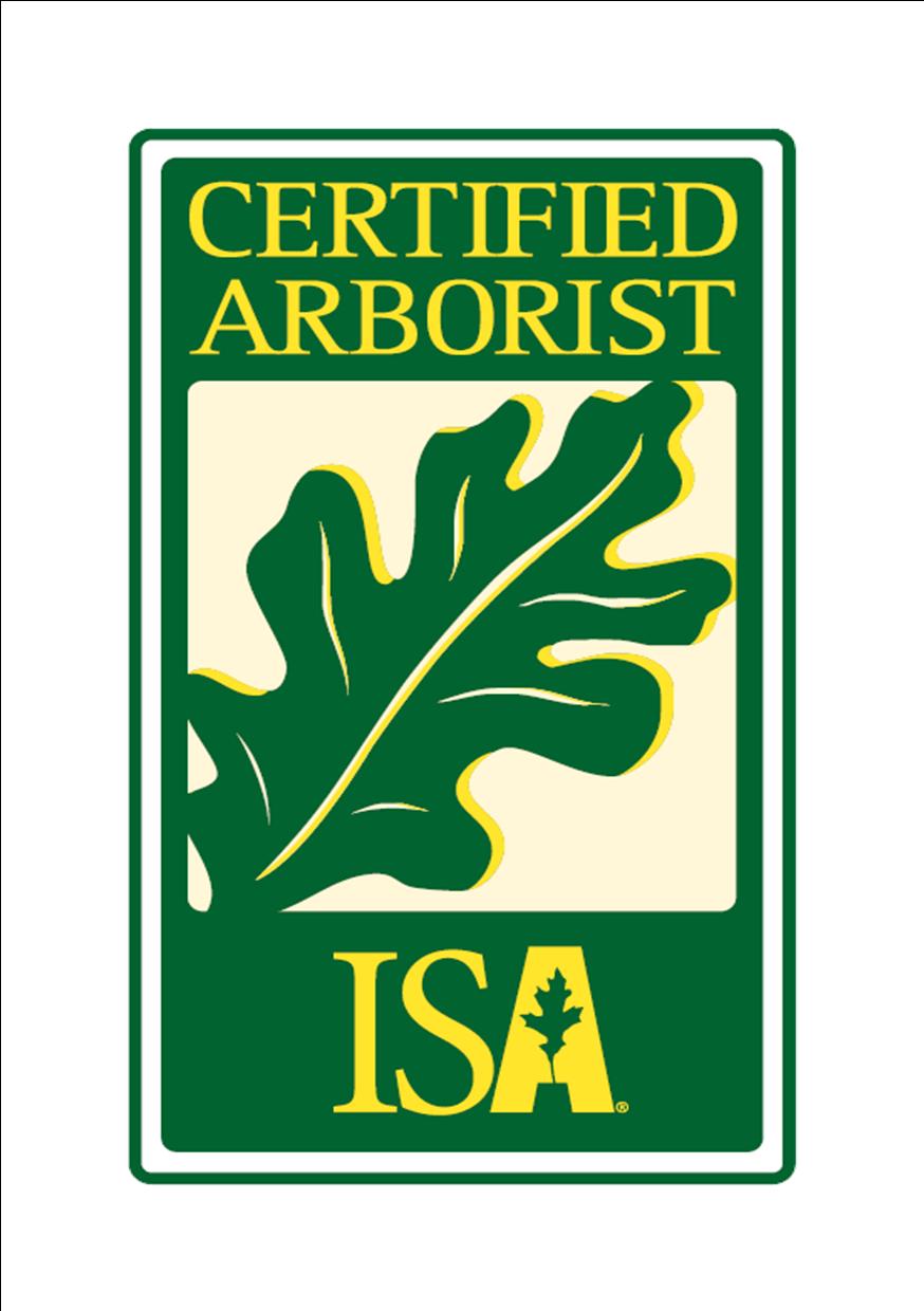 what-is-a-certified-arborist